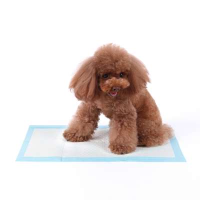 Best Selling Pet Training Puppy Wee Pads Dog Sanitary Pads