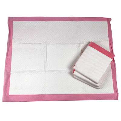 Quick Dry Puppy Training Pad Dog Pad Pet Products