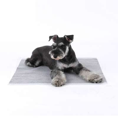 Disposal Carbon Portable Training Pet Wee Potty Pad