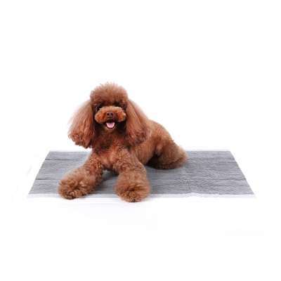 High Absorbent Carbon Disposable Pet Training Pad